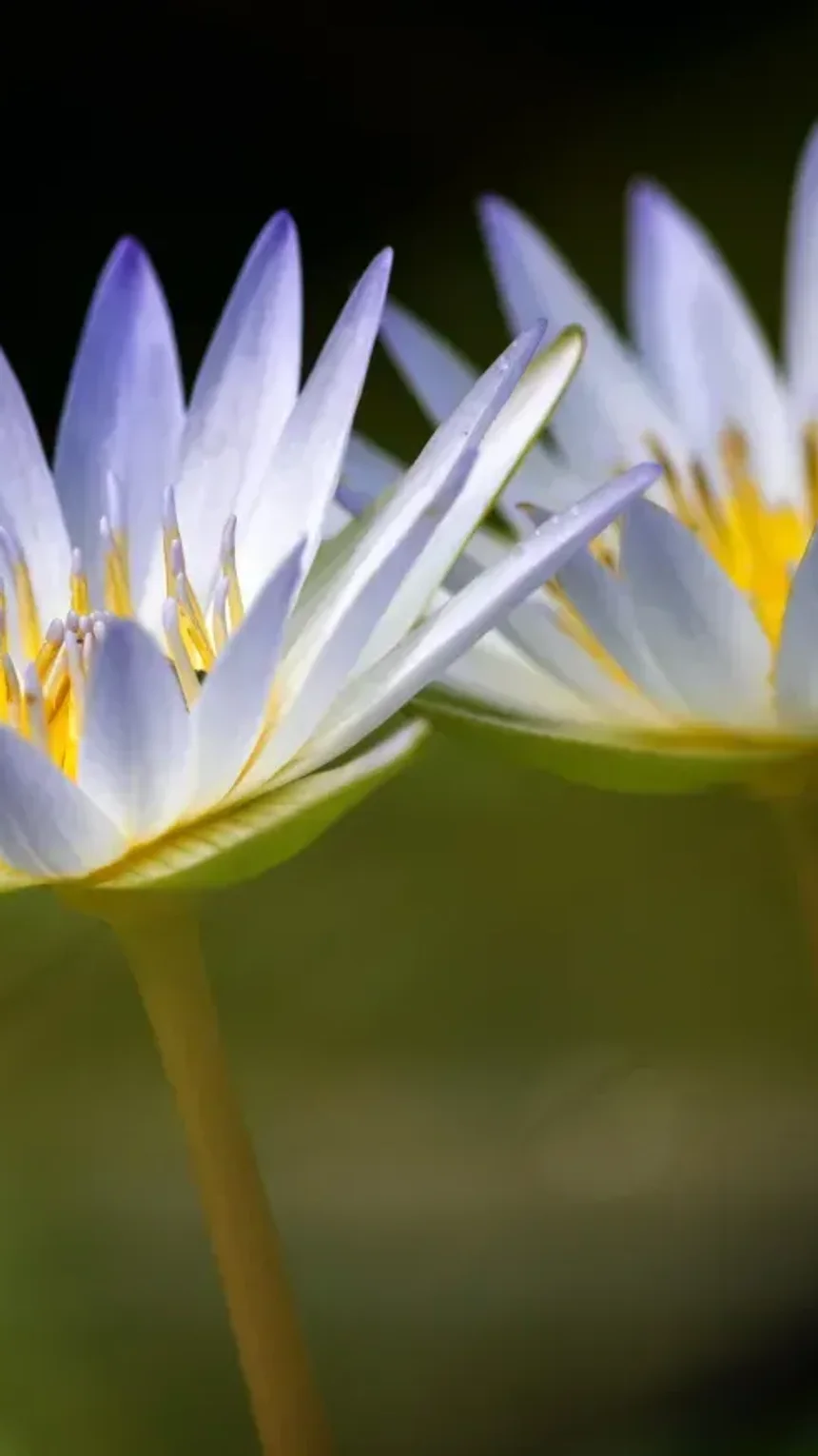 Secrets to Personal Growth